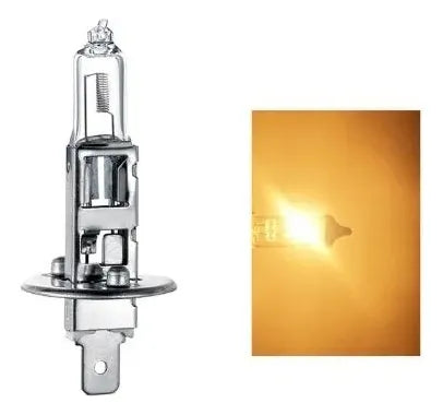 Ampolleta h1 12v 55w Flotop