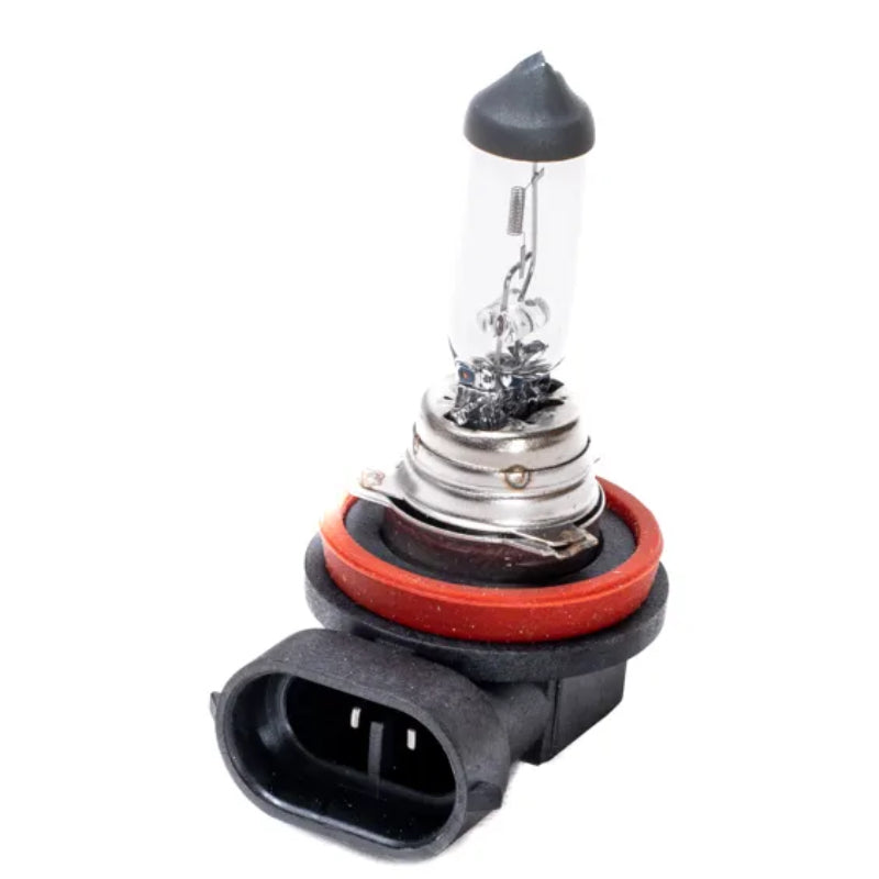 Ampolleta H8 12v 35w Halógena Luz Blanca Pgj19-1